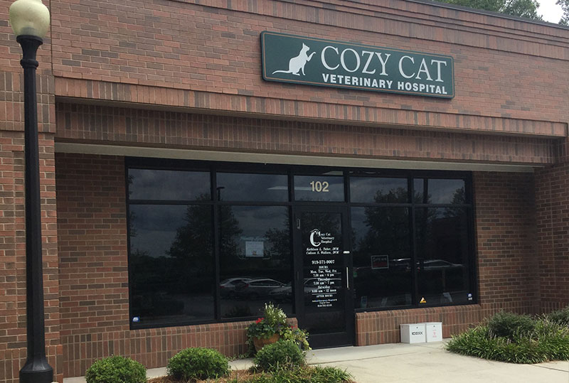 Feline Veterinary Care