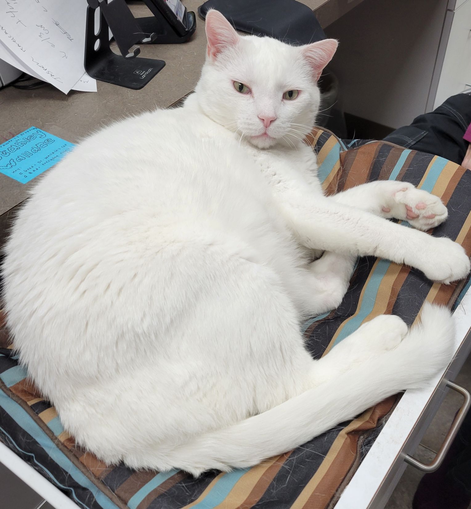 financial well-being