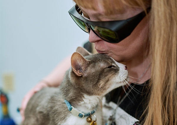 Cozy Cat Veterinary Hospital | Raleigh veterinarians
