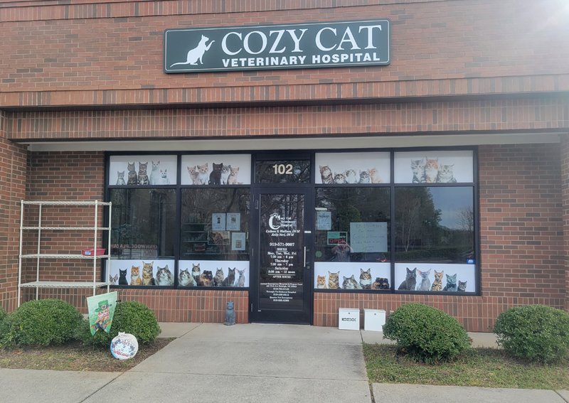 Carousel Slide 3: Cozy Cat Veterinary Hospital Front Entrance